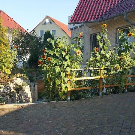 Friedland - Gross Schneen Goe 10 Km Exterior photo