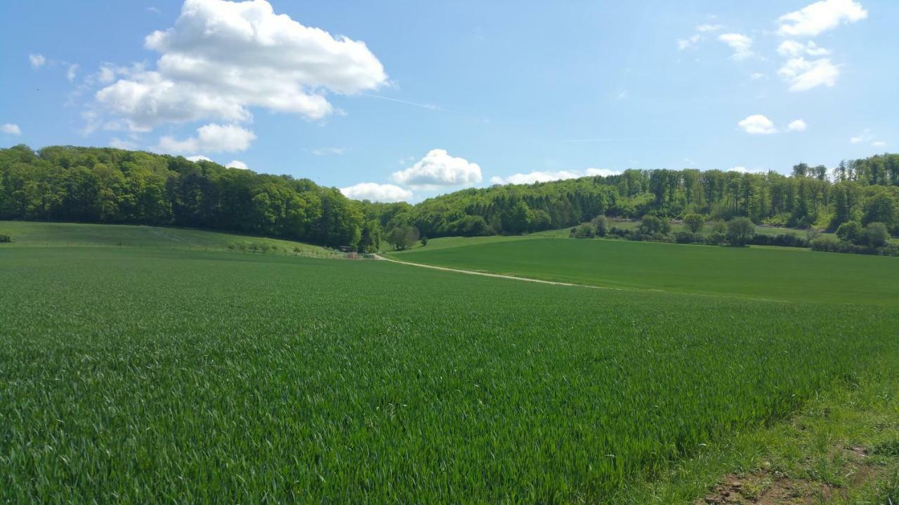 Friedland - Gross Schneen Goe 10 Km Exterior photo